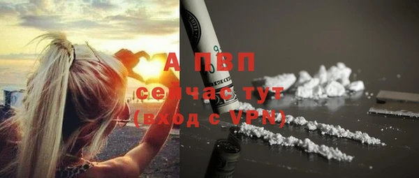 эйфоретик Карпинск