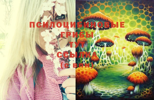 эйфоретик Карпинск
