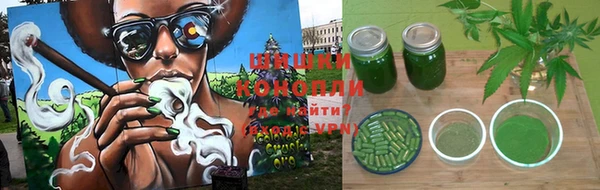 эйфоретик Карпинск