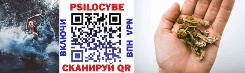 Псилоцибиновые грибы Psilocybine cubensis  Купить где  Заволжье 